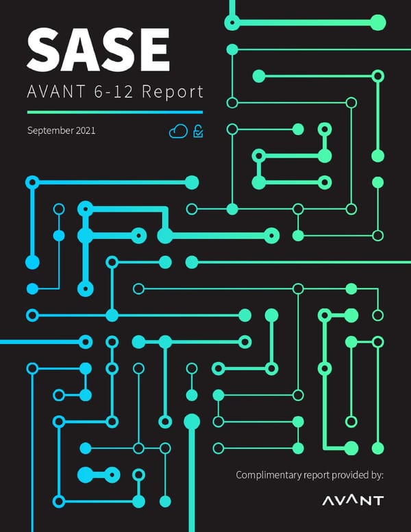 SASE Report - Page 1