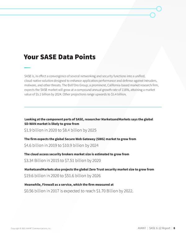 SASE Report - Page 8