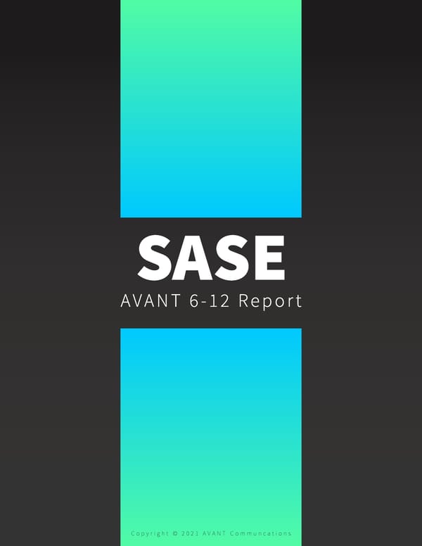 SASE Report - Page 31